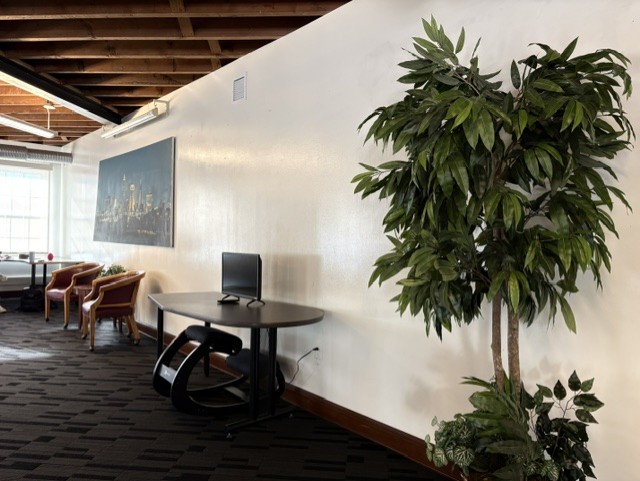 Lounge area with a large plant, desk, and exposed wooden ceiling beams